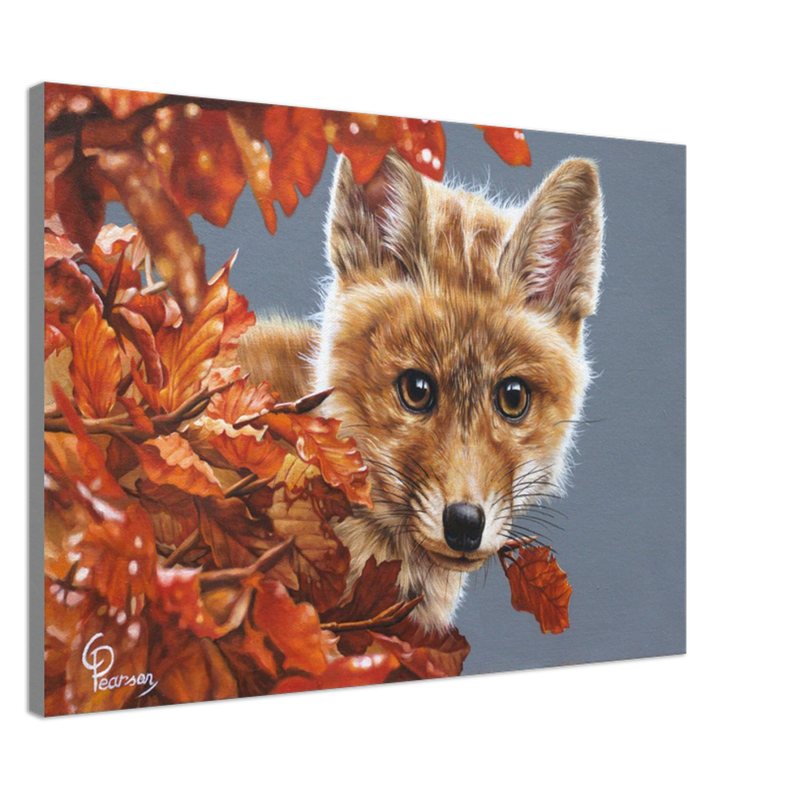 Bright Eyes Fox Canvas Art – Vibrant Wildlife Print