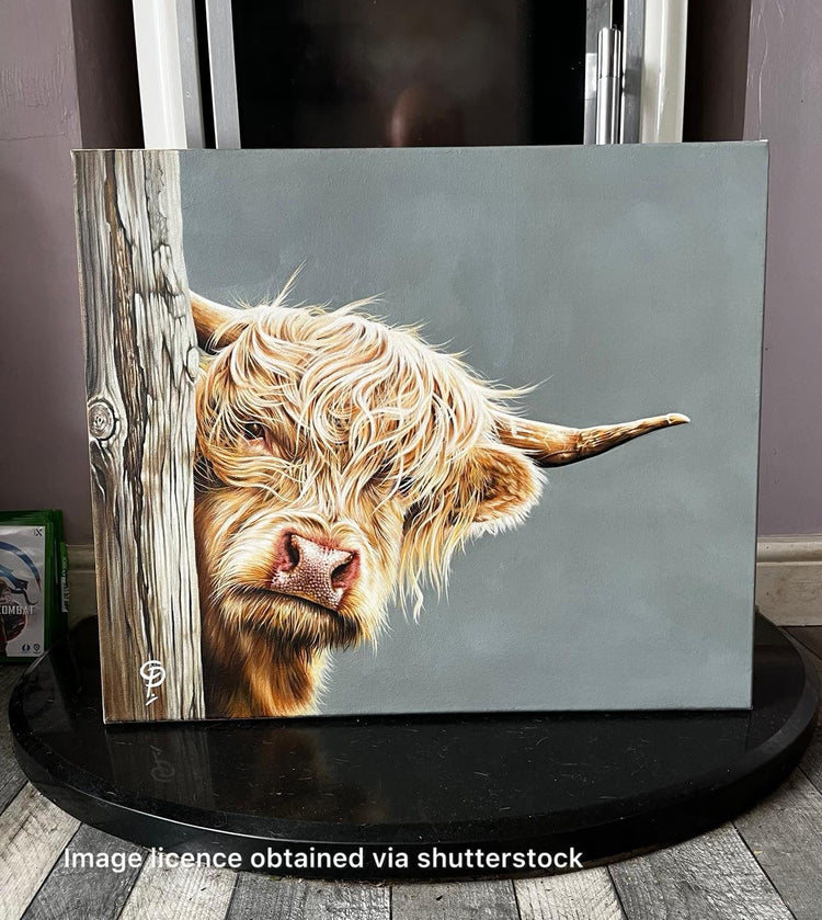 Original Artwork