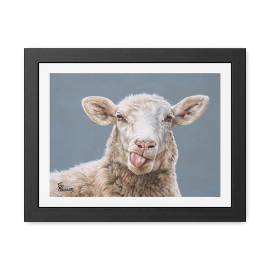 Sheep Framed Art Print