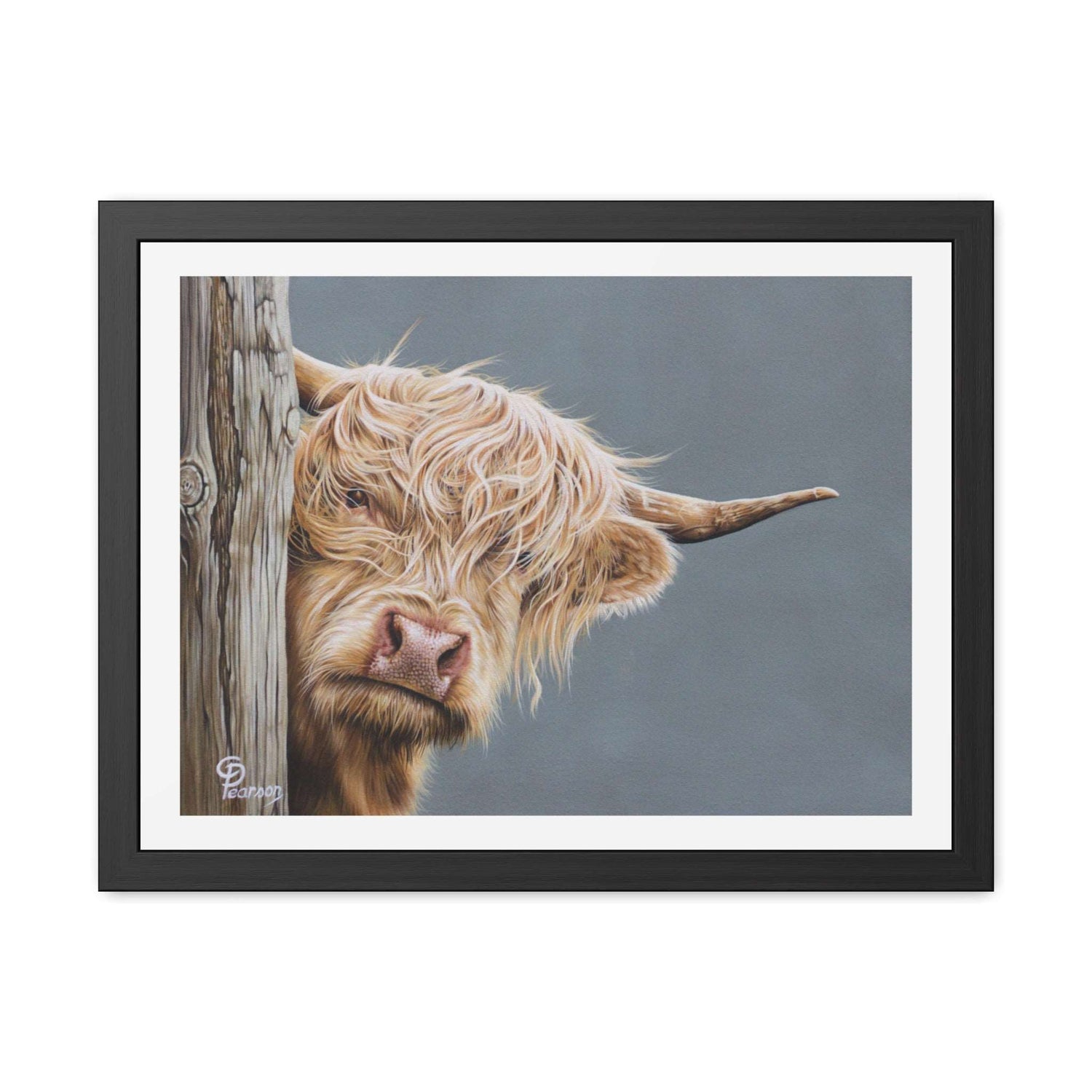 Highland Cow Framed Art Print