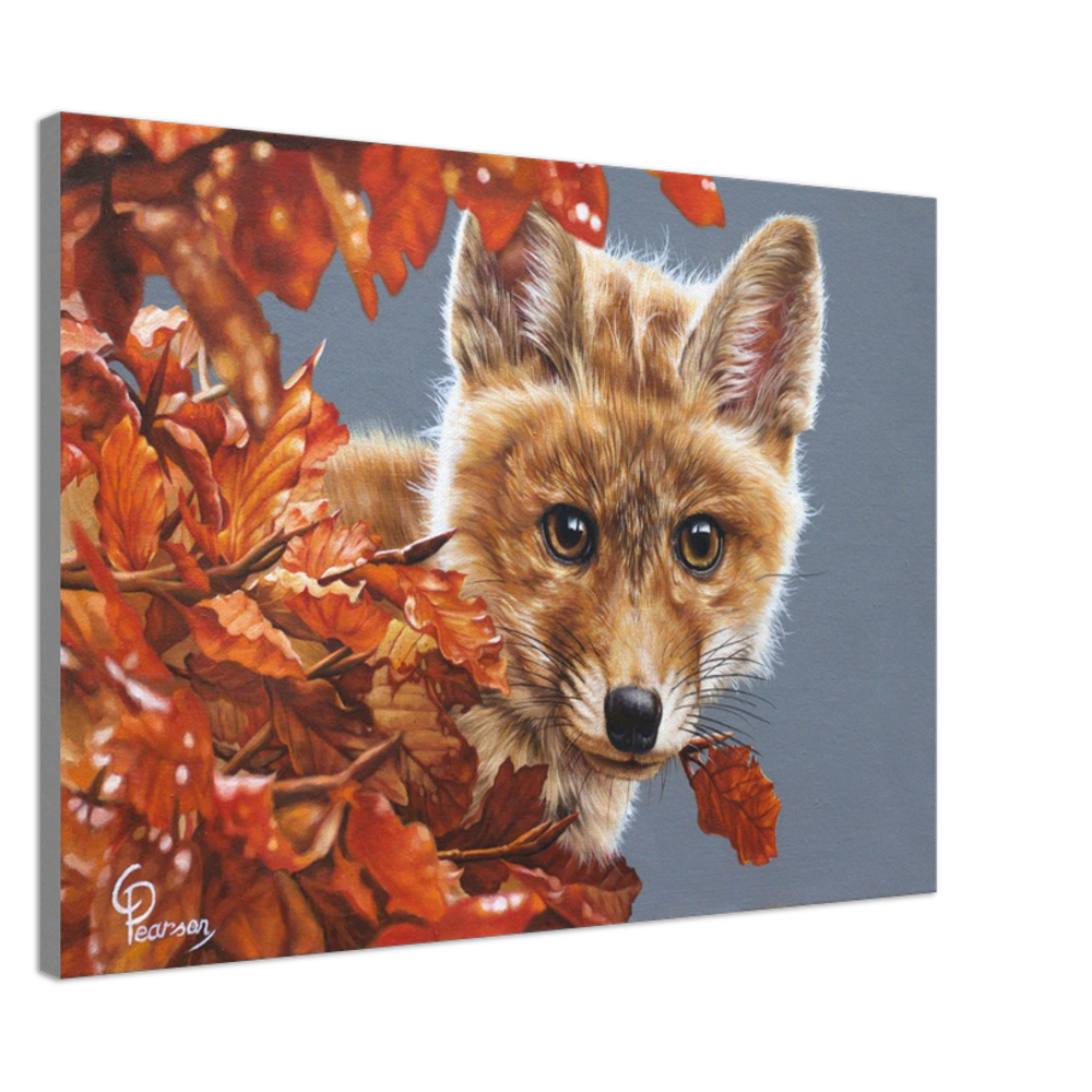 Bright Eyes Fox Canvas Art – Vibrant Wildlife Print