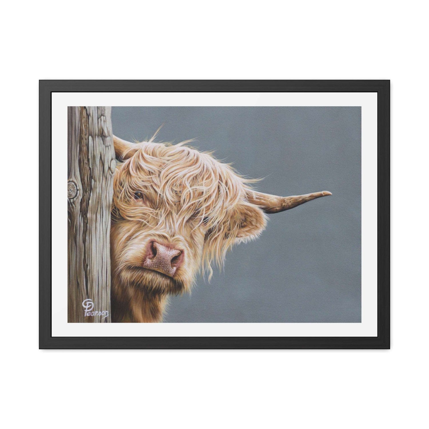 Highland Cow Framed Art Print