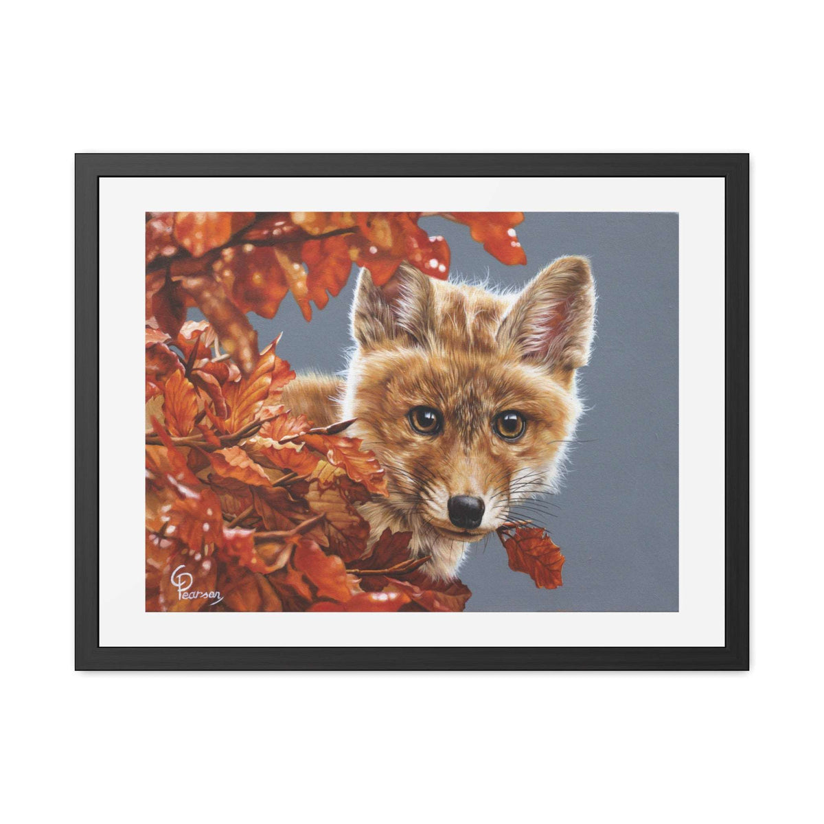 Fox Framed Art Print