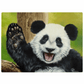 Glass Chopping Board Lulu The Panda