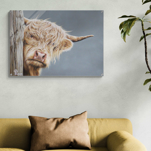 Highland Cow Wall Art Acrylic Print