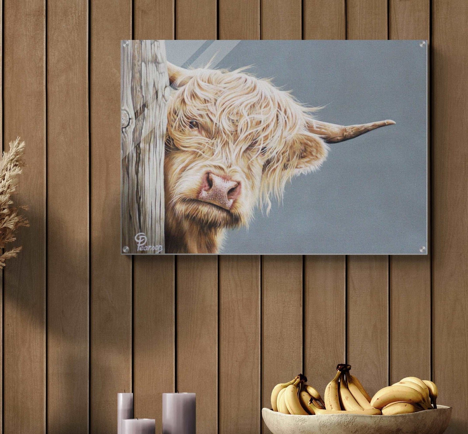 Highland Cow Acrylic Wall Art Print