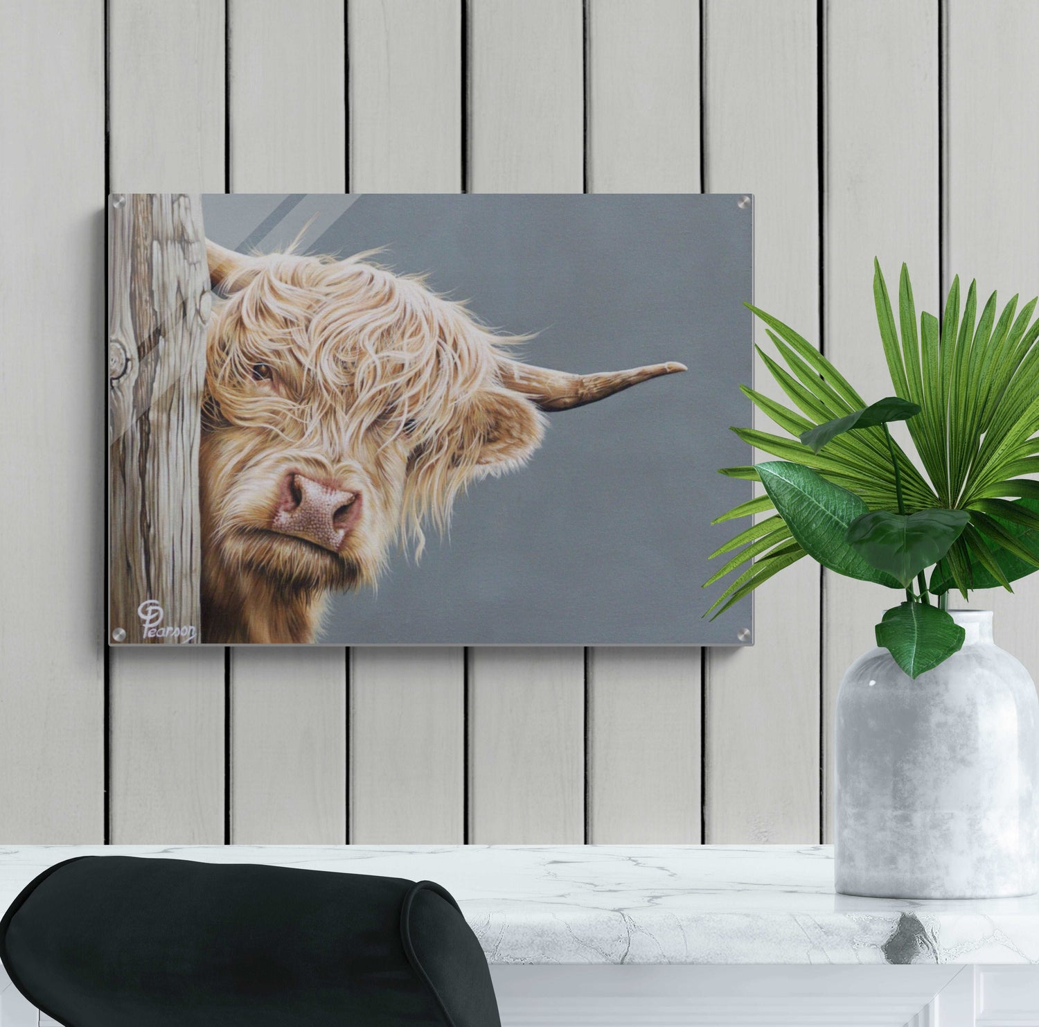 highland cow acrylic wall art print