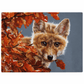 fox glass chopping board